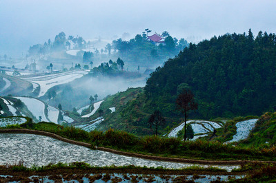 溫州永嘉茗岙梯田DSC_3203 - 喬峰 - 圖蟲攝影網(wǎng)